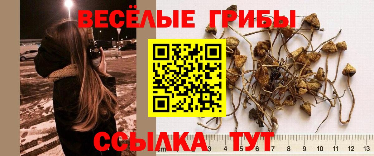 Галлюциногенные грибы мухоморы Тулун