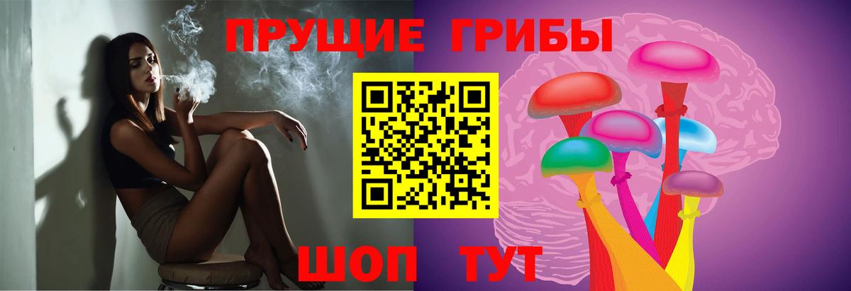 Галлюциногенные грибы ЛСД  даркнет сайт  Тулун  Вход с VPN 
